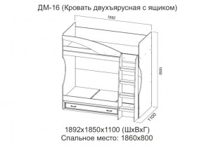 ДМ-16 Кровать двухъярусная с ящиком в Чернушке - chernushka.magazin-mebel74.ru | фото