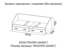 Кровать одинарная с ящиками (Без матраца 0,9*2,0) в Чернушке - chernushka.magazin-mebel74.ru | фото