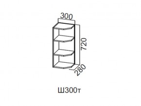 Ш300т/720 Шкаф навесной 300/720 (торцевой) в Чернушке - chernushka.magazin-mebel74.ru | фото