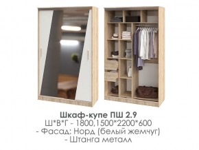 шкаф-купе ПШ-2.9 1500 Норд Белый жемчуг 1500 в Чернушке - chernushka.magazin-mebel74.ru | фото