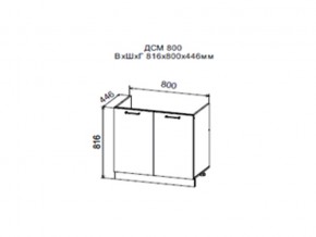 Шкаф нижний ДСМ800 под мойку в Чернушке - chernushka.magazin-mebel74.ru | фото
