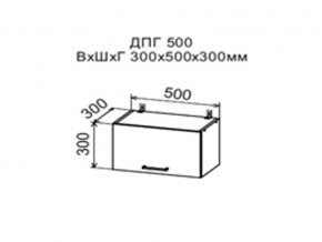 Шкаф верхний ДПГ500 горизонтальный в Чернушке - chernushka.magazin-mebel74.ru | фото