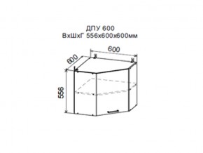 Шкаф верхний ДПУ600 угловой в Чернушке - chernushka.magazin-mebel74.ru | фото